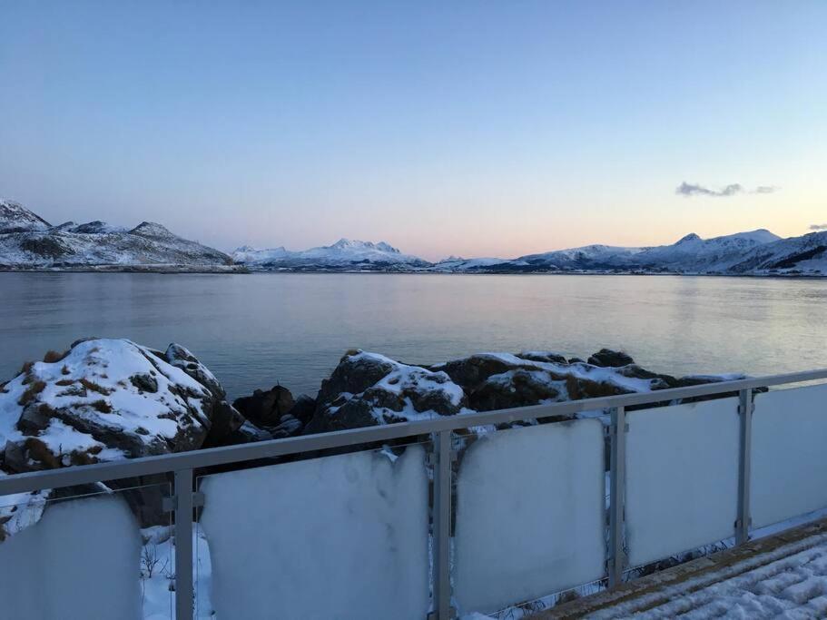 Hytte Ved Sjoen Napp Kültér fotó